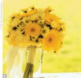 /album/casamento-/buque-amarelo-flores-p-casar-org-jpg/