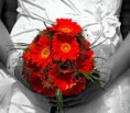 /album/casamento-/casamento-jpg/