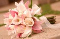 /album/casamento-/foto2-art-260208-1740-jpg/